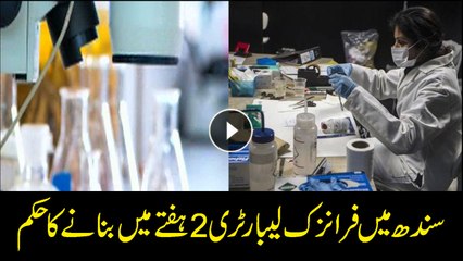 Court gives Sindh govt two weeks to establish forensic lab