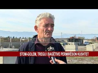 Download Video: STOM-GOLEM, TREGU I BAGËTIVE PERMIRËSON KUSHTET