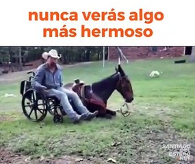 Superação deficiente sobe em Cavalo