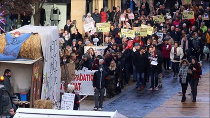 700 manifestants anti-Knauf à Thionville