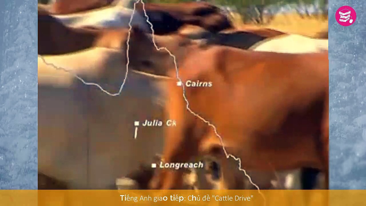 Cattle Drive - Gia súc du mục (trâu, bò) - Tiếng Anh giao tiếp hàng ngày theo chủ đề