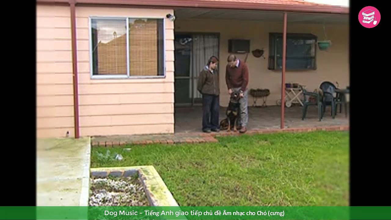Dog Music - Tiếng Anh giao tiếp chủ đề Âm nhạc cho Chó (chó cưng)