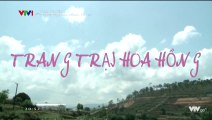 Trang Trạ Hoa Hồ Tậ 41 - Phim Việ Nam (Phim Mớ Hay)