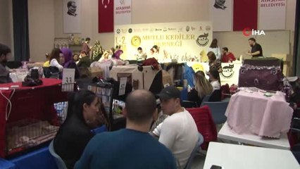 Mutlu Kediler Yarışmasına 130'un Üzerine Kedi Katıldı