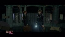 كل ما تريد أن تعرفه عن الجزء الثاني من Fantastic Beasts في سكوب مع ريا