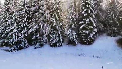 La neige aux glières