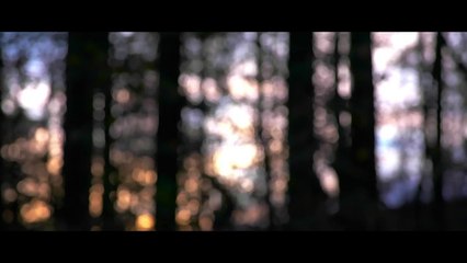 Burnt Offering Trailer