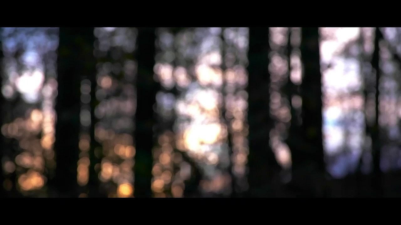 Burnt Offering Trailer