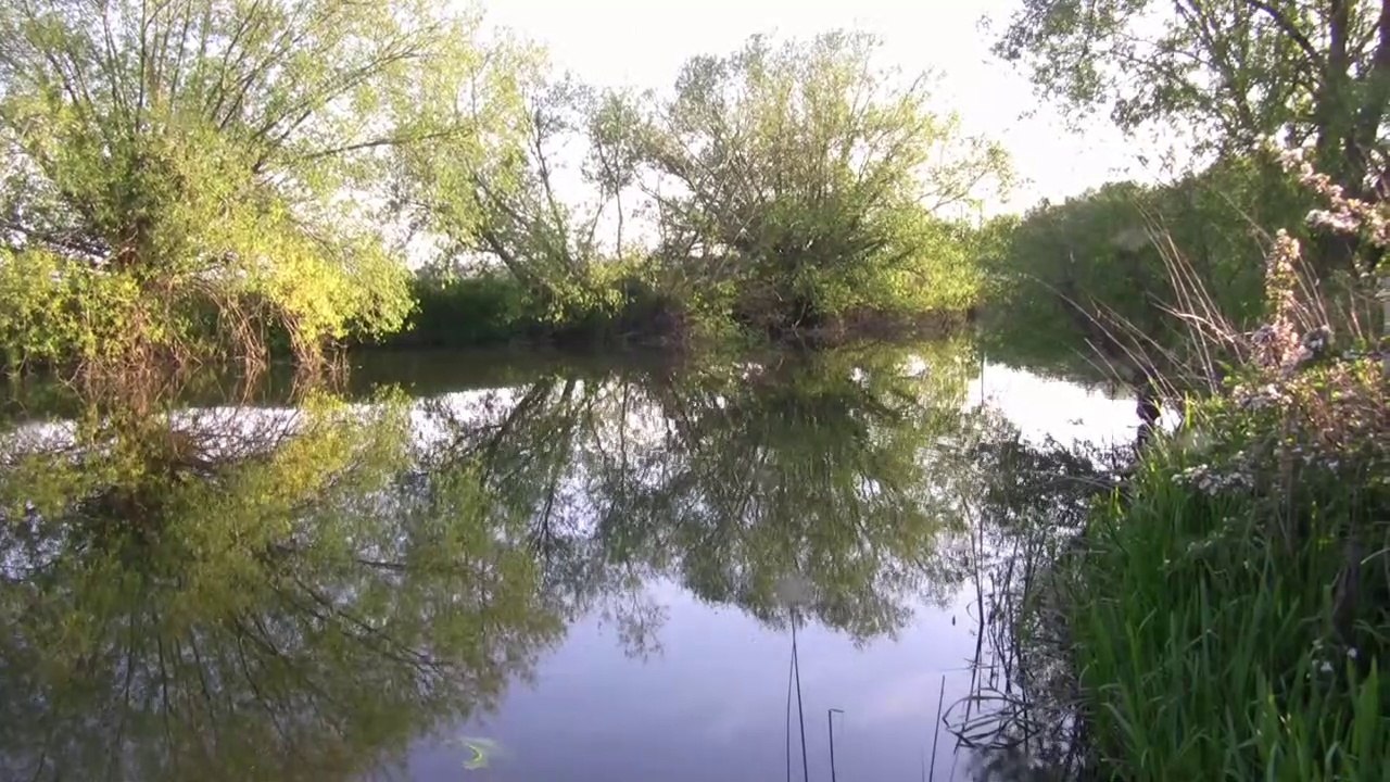 2017 River Campaign Update - Pre-Baiting, Swim Clearing & Fish Spotting - 10-5-17 (Video 18)