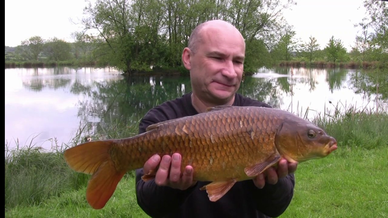 An Uncommonly Wet Day - 13-5-17 (Video 19)