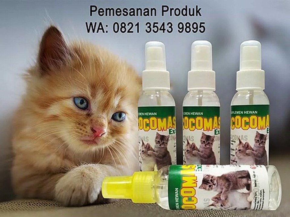 PUSAT DISTRIBUTOR - Obat Untuk Kucing, 0821 3543 9895