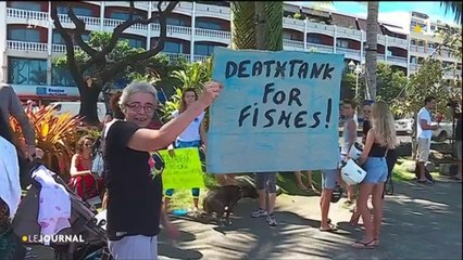 un sit in contre le parc à poissons