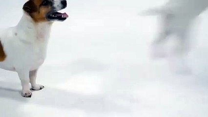 양천출장안마-{카톡SZX77 }⊀Ö7Ô-7575-0077⊁양천출장마사지'20대'양천출장안마출장안마코스양천출장안마양천출장마사지-황제양천출장마사지-양천콜걸.