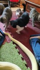 I feel happy when he's happy