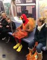 Turkey eats turkey on New York City subway