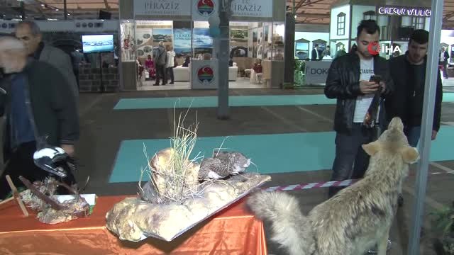Giresun Tanıtım Günleri'nde Giresun Yaban Hayatı da Tanıtımda Yerini Aldı