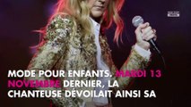 Céline Dion veuve : Laurent Ruquier choque avec une blague sur René Angélil