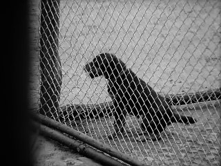 Polizeiruf 110 (1972) E007 - Blutgruppe AB