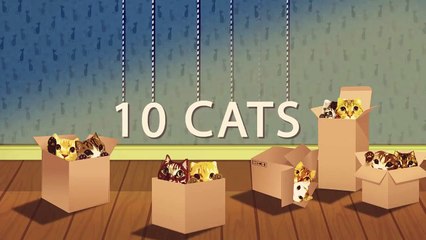 Japanese spiny lobster vs Cat  猫vs伊勢海老