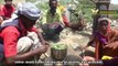 Starving Yemenis Reduced to Eat Tree Leaves