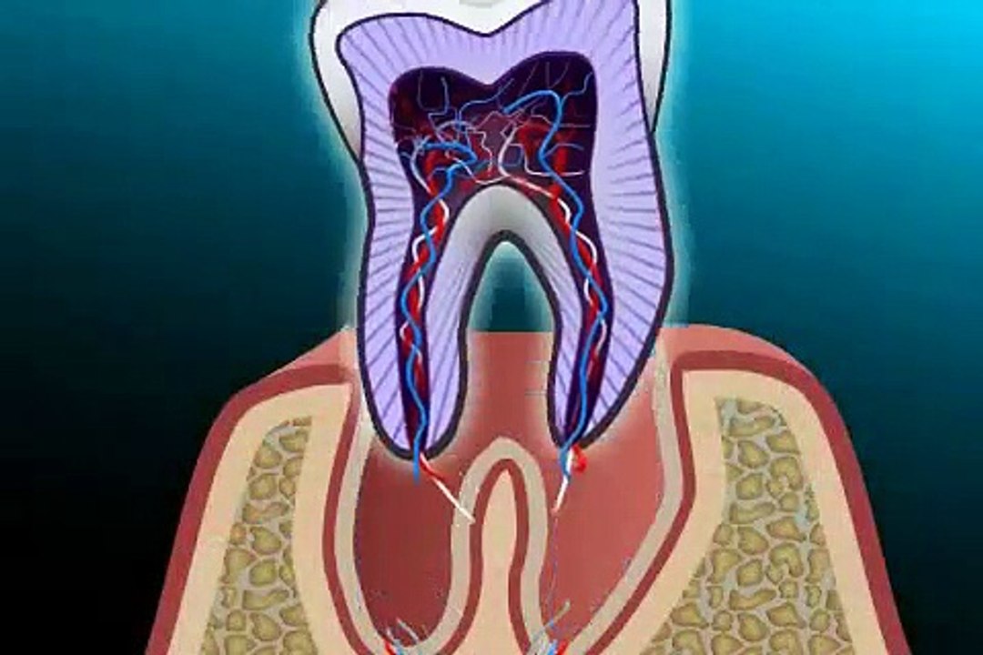 was macht ein oral Chirurg anders als ein Zahnarzt
