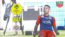 But Andy DELORT (45ème  1) / Montpellier Hérault SC - Stade Rennais FC - (2-2) - (MHSC-SRFC) / 2018-19
