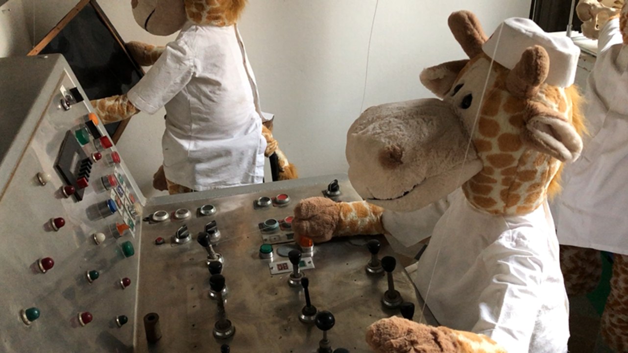 Clinique des jouets