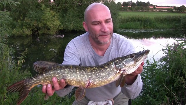 Lure Fishing the Warwickshire Avon - River Pike Fishing - Spinning & Plugs - 5/8/17 (Video 28)