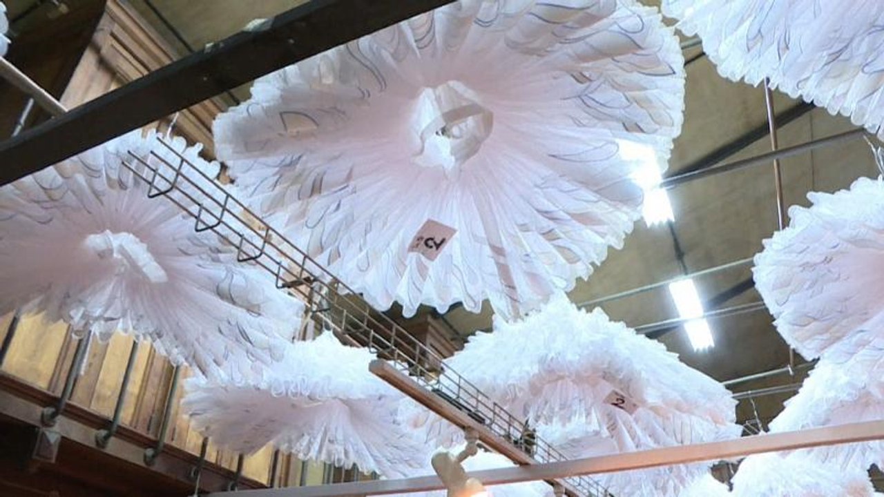 Das Tutu: Eine Tradition an der Pariser Oper