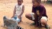 Un lémurien adorable reclame des calins à ces enfants... Trop mignon
