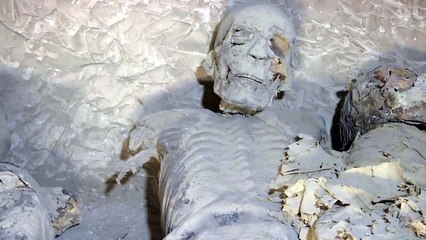 이집트 룩소르에서 3000여년전 왕조 미라 등 유적 발굴 / YTN