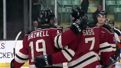 WHL Medecine Hat Tigers 7 at Red Deer Rebels 3