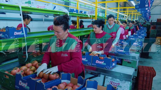 NIS NE LUSHNJE PUNA PER NDERTIMIN E NJE PREJ QENDRAVE TE GRUMBULLIMIT - News, Lajme - Kanali 7