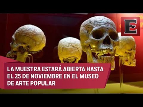 Exposición Los cráneos prehispánicos esgrafiados