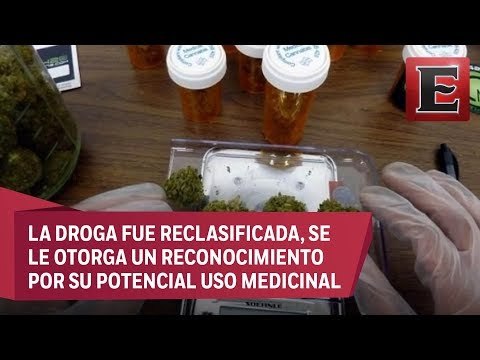 Reino Unido permite e uso de la marihuana con fines medicinales
