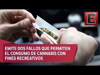 Corte establece jurisprudencia que permite uso recreativo de mariguana