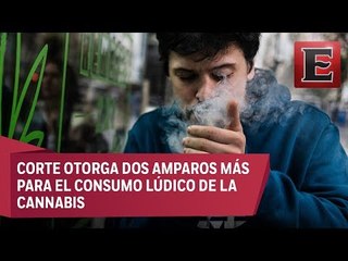 Uso recreativo de la mariguana, ¿una realidad en México?