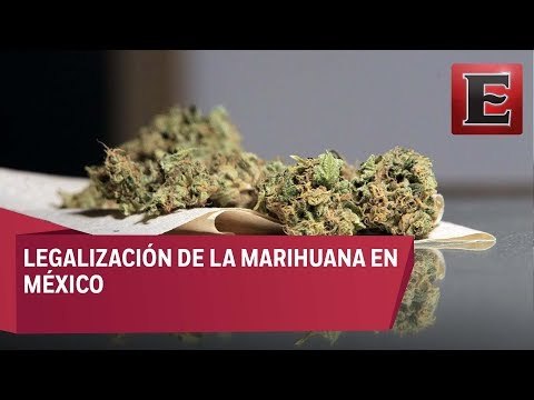 Uso recreativo de la marihuana: ¿Positivo o negativo para México?