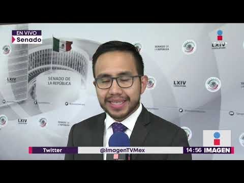 Iniciativa para regular el uso de la marihuana en México | Noticias con Yuriria Sierra