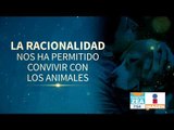 Peligros y daños de humanizar a las mascotas | Noticias con Francisco Zea