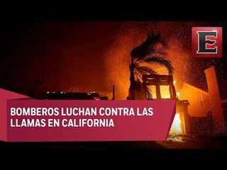 Suman 23 muertos por incendio forestal en California