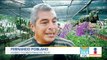 Flores comestibles, un área no explotada en Yucatán | Noticias con Francisco Zea