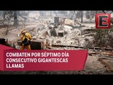 Equipos buscan restos entre cenizas de incendios en el norte de California