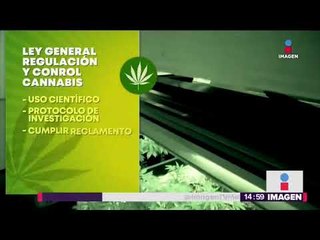 Olga Sánchez presenta iniciativa para regular uso de la marihuana | Noticias con Yuriria Sierra