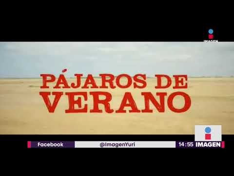 Así se vivieron los Premios Fénix | Noticias con Yuriria Sierra