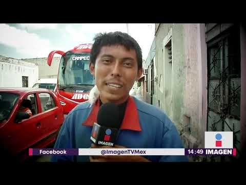 ¿Serías capaz de tener una rata como mascota? | Noticias con Yuriria Sierra