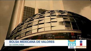Se desploma Bolsa Mexicana de Valores tras propuesta de Morena | Noticias con Francisco Zea