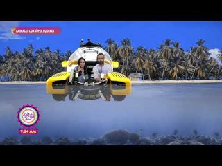 Conciencia animal: ¡animales con superpoderes! | Sale el Sol