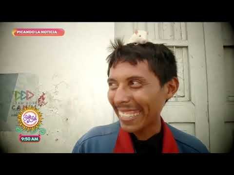 Picando la noticia: Humanizar a los animales contrae riesgos | Sale el Sol