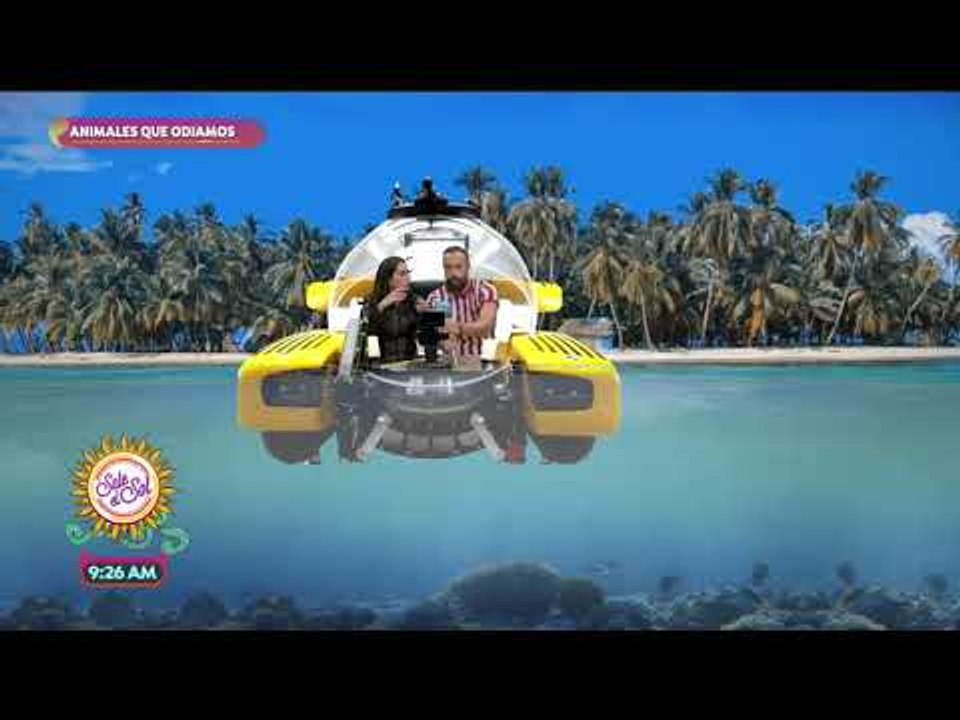 Conciencia Animal: ¿sin murciélagos no hay tequila? | Sale el Sol